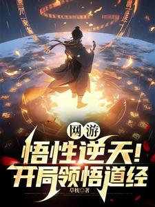 网游:我道尊,伤害高亿点怎么啦